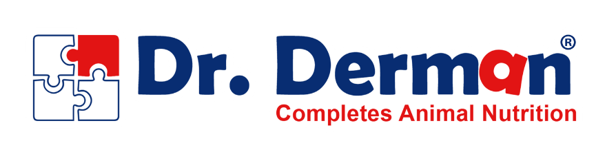 Dr. Derman Logo