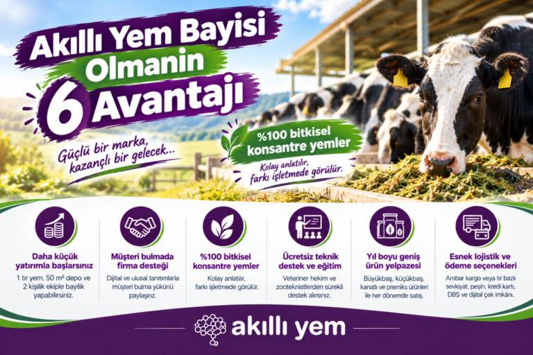 Akıllı Yem Bayisi Olmanın 6 Avantajı